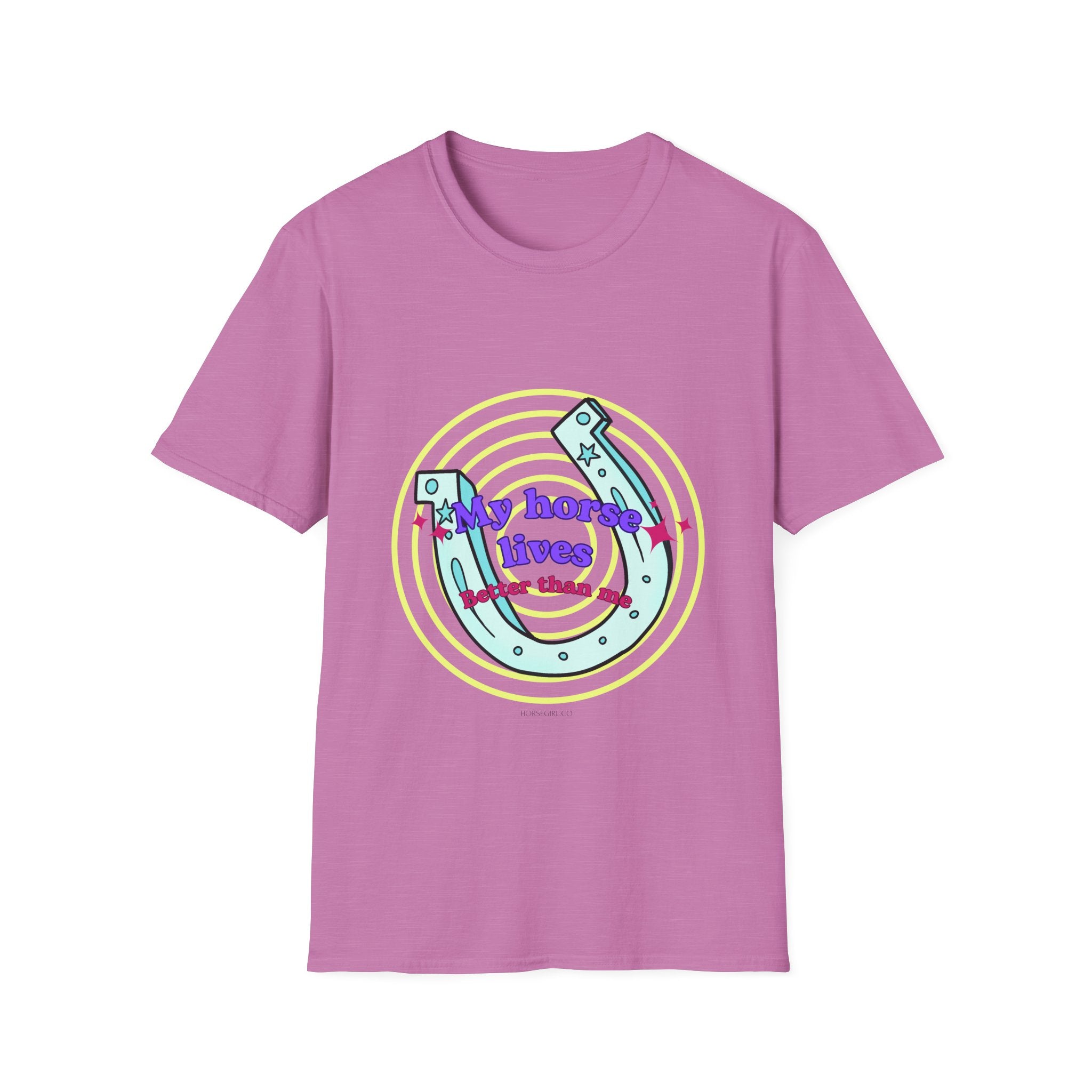 My Horse Lives Better Than Me  T-Shirt — Colorful Horseshoe Tee